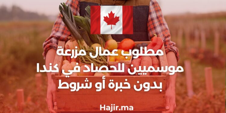 Seasonal farm workers needed for harvest in Canada without experience or conditions