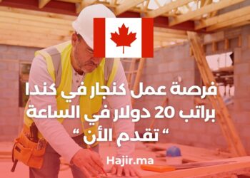 An Opportunity To Work as a Carpenter in Canada With a Salary of $20 Per Hour“Apply Now”