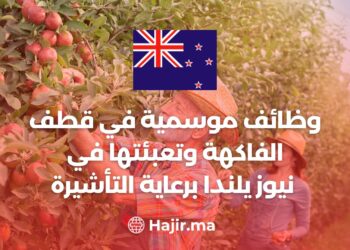 Seasonal Jobs Picking And Packing FruitIn New Zealand With Visa Sponsorship