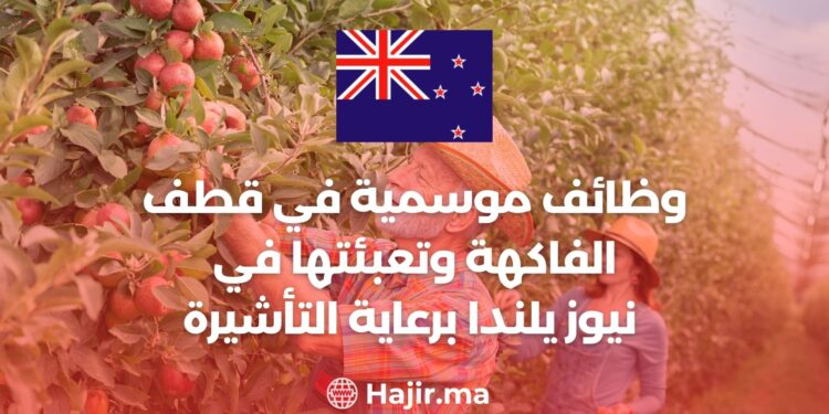 Seasonal Jobs Picking And Packing FruitIn New Zealand With Visa Sponsorship