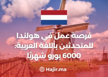 Job Opportunity in the Netherlands For Arabic Speakers: 6,000 € Per Month