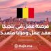 A Job Opportunity in Belgium With an Employment Contract And Multiple Benefits