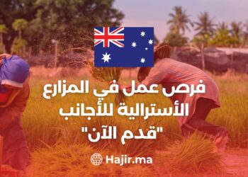Job Opportunities on Australian Farms For Foreigners “Apply Now”