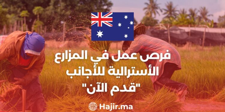 Job Opportunities on Australian Farms For Foreigners “Apply Now”