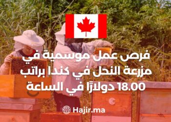 Seasonal Bee Farm Job Opportunities in Canada With a Salary of $18.00 Per Hour