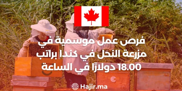Seasonal Bee Farm Job Opportunities in Canada With a Salary of $18.00 Per Hour