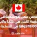 Seasonal Bee Farm Job Opportunities in Canada With a Salary of $18.00 Per Hour