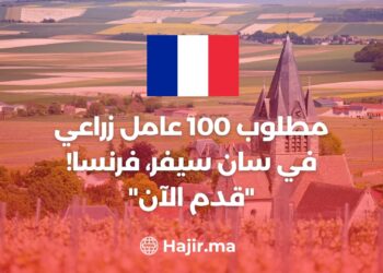 100 Agricultural Workers Are Needed in Saint-Sevre, France! “Apply now”