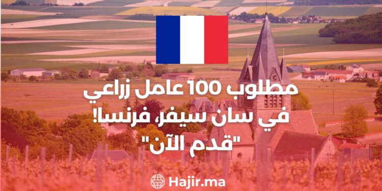 100 Agricultural Workers Are Needed in Saint-Sevre, France! “Apply now”