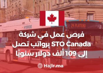 Job Opportunities at STO Canada With Salaries up To $109,000 Annually