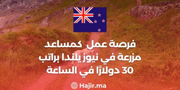 Exciting Job Opportunity For a Farm Helper in New Zealand With a Salary Of $30 Per Hour