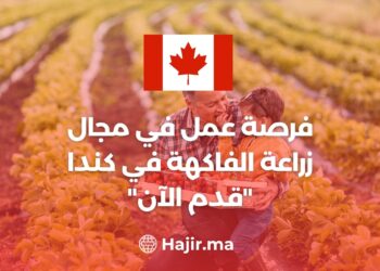 Job opportunity in fruit farming in Canada “Apply Now”