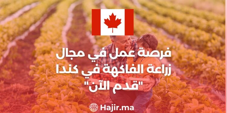 Job opportunity in fruit farming in Canada “Apply Now”