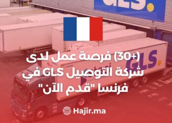 (+30) Job Opportunity at The Delivery Company GLS in France