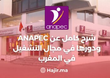 Une Explication Complète de l’ANAPEC et De Son Rôle Dans Le Domaine D’opération