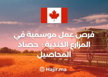 Seasonal Job Opportunities in Crop Harvesting: Canadian Farms