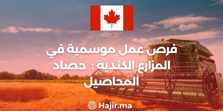 Seasonal Job Opportunities in Crop Harvesting: Canadian Farms