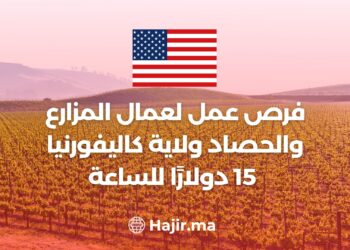 Job Opportunities For Farm And Harvest Workers – $15 Per Hour