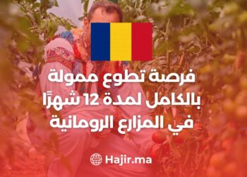 A Fully Funded 12-Month Volunteering Opportunity on Romanian Farms