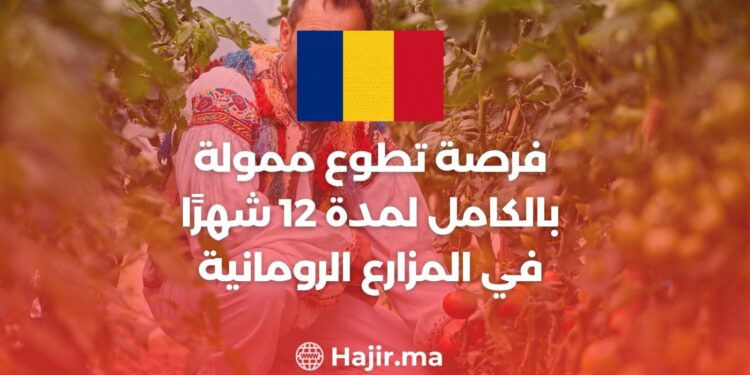 A Fully Funded 12-Month Volunteering Opportunity on Romanian Farms