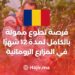 A Fully Funded 12-Month Volunteering Opportunity on Romanian Farms