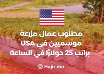 Seasonal Farm Workers Needed For 2024 in USA at $25 Per Hour
