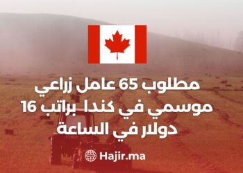 65 Seasonal Agricultural Workers are Needed in Canada Without a Certificate, With a Salary of $16 Per Hour