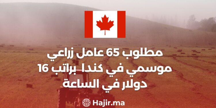 65 Seasonal Agricultural Workers are Needed in Canada Without a Certificate, With a Salary of $16 Per Hour
