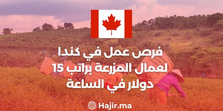 فرص عمل في كندا لعمال المزرعة والخضروات براتب 15 دولار في الساعة