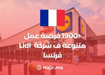 +1900 Diverse Job Opportunities at Lidl France