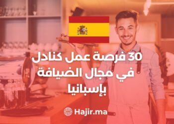 Job Opportunities as a Waiter in The Hospitality Sector in Spain
