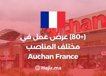(+80) Offre D’emploi Chez Auchan France