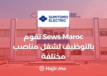 Sews Maroc recrute pour plusieurs postes
