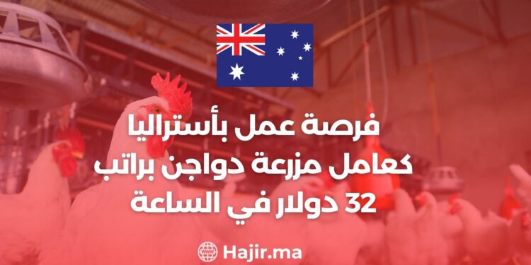 فرصة عمل بأستراليا كعامل مزرعة دواجن براتب 32 دولار في الساعة