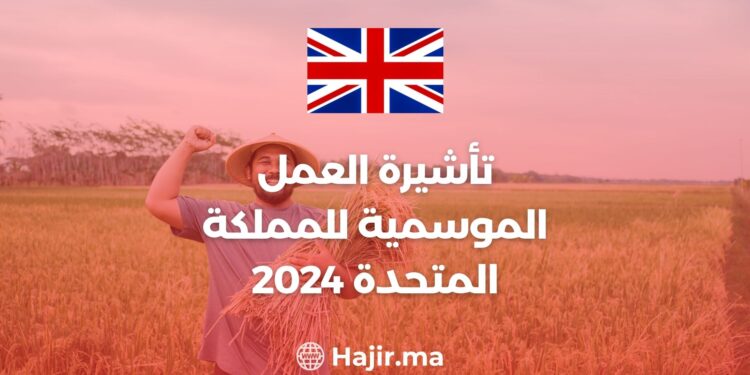 تأشيرة العمل الموسمية للمملكة المتحدة 2024