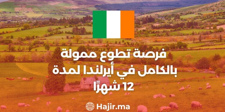 Fully Funded Volunteer Opportunity in Ireland For 12 Months