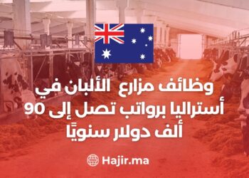 Dairy Farm Jobs in Australia With Salaries up To $90,000 Per Year