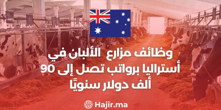 Dairy Farm Jobs in Australia With Salaries up To $90,000 Per Year