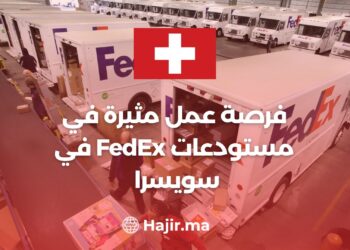 Exciting Job Opportunity in FedEx Warehouses in Switzerland