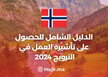 A Comprehensive Guide to Obtaining a Work Visa in Norway 2024