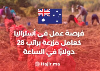 Job Opportunity in Australia as a Farm Worker With a Salary of $28 Per Hour