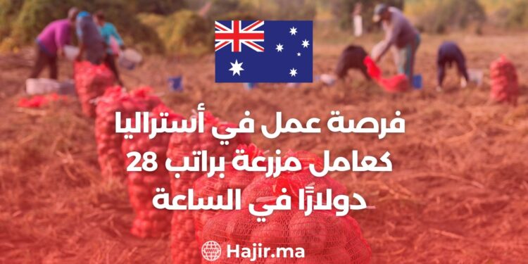 Job Opportunity in Australia as a Farm Worker With a Salary of $28 Per Hour