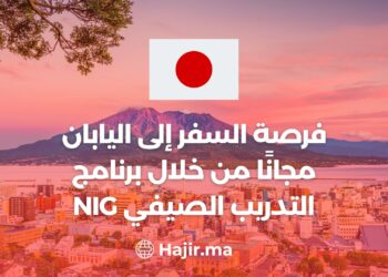 The Opportunity to Travel to Japan for Free Through the NIG Summer Internship Program