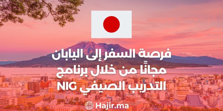 The Opportunity to Travel to Japan for Free Through the NIG Summer Internship Program