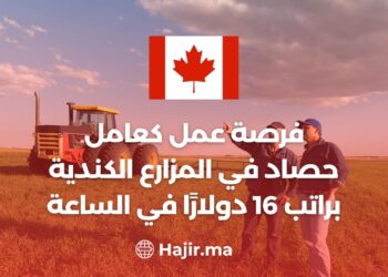 A Job Opportunity as a Harvest Worker on Canadian Farms With a Salary Of $16 Per Hour
