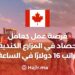 A Job Opportunity as a Harvest Worker on Canadian Farms With a Salary Of $16 Per Hour