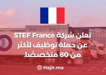 STEF France Announces a Recruitment Campaign For More Than 80 Specialists .
