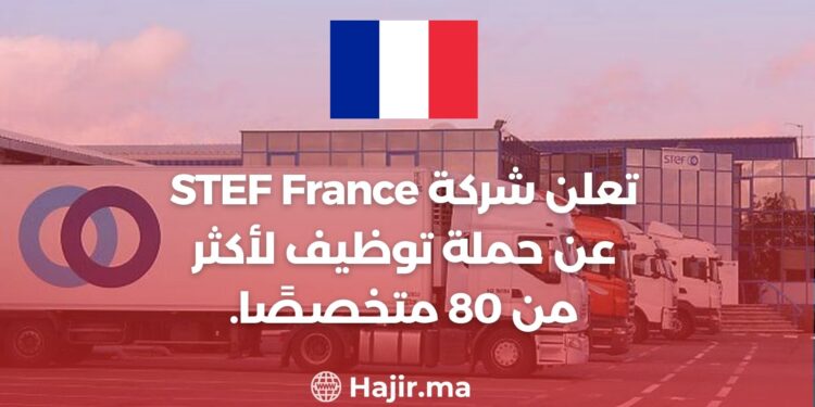 STEF France Announces a Recruitment Campaign For More Than 80 Specialists .