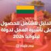 الدليل للشامل للحصول على تأشيرة العمل لدولة ليتوانيا 2024