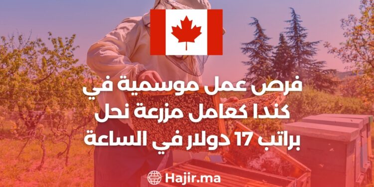 فرص عمل موسمية في كندا كعامل منحل براتب 17 دولار في الساعة